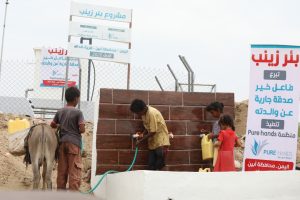 The Zeinab Well Project