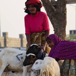 Livelihood Projects