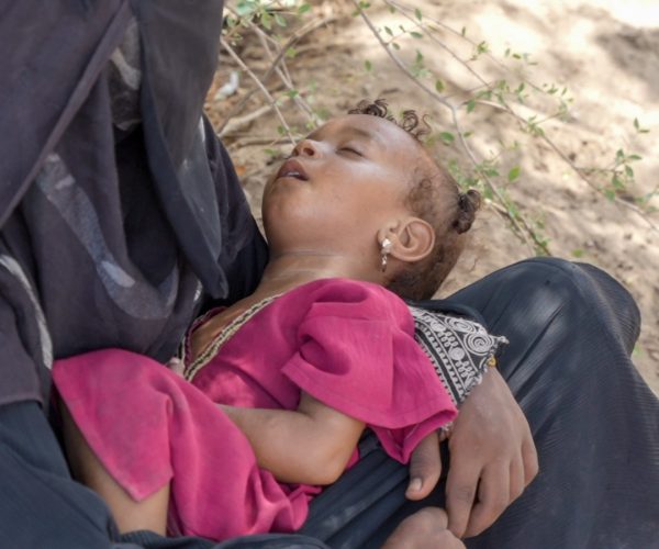 Displacement crisis (29)